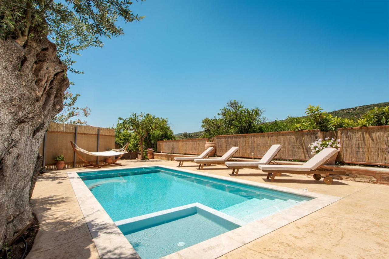 Avocado Villas Chania (Crete) ภายนอก รูปภาพ